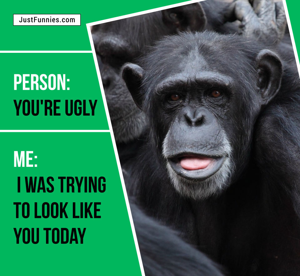 Person You are ugly Me Good, I was trying to look like you today
