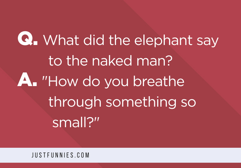 Q. What did the elephant say to the naked man A. How do you breathe through something so small