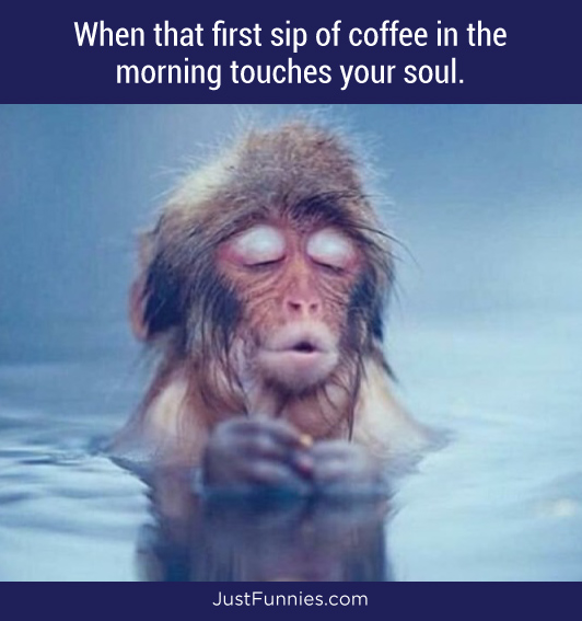 When that first sip of coffee in the morning touches your soul.