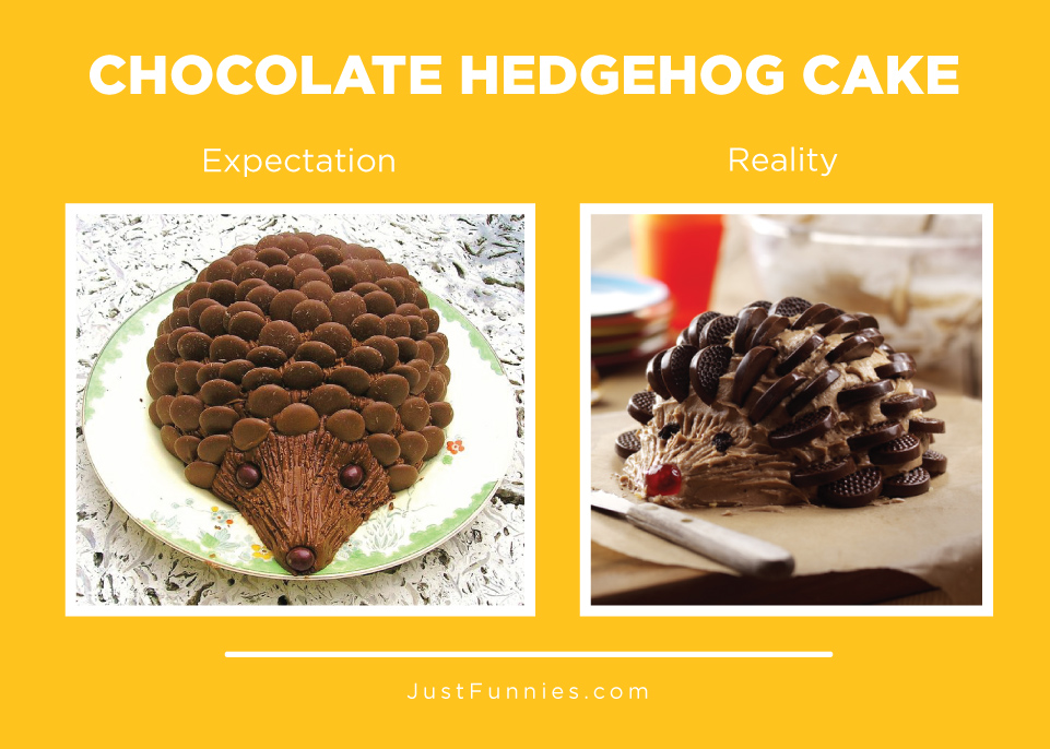 CHOCOLATE HEDGEHOG CAKE